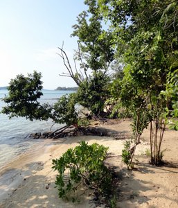 Coral Beach on Koh Ta Kiev Island in Cambodia.